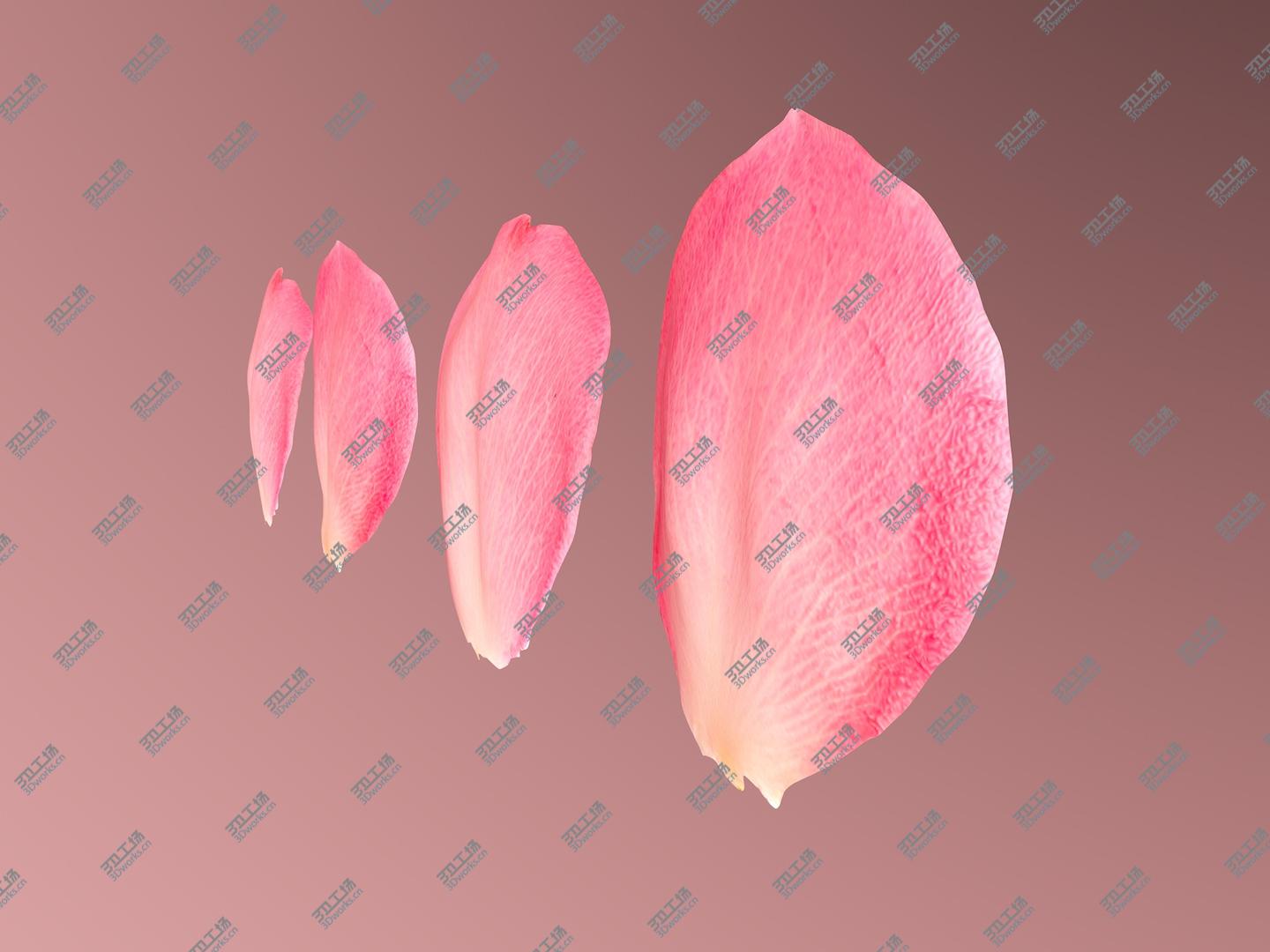 images/goods_img/202104092/Flying rose Petals model/3.jpg